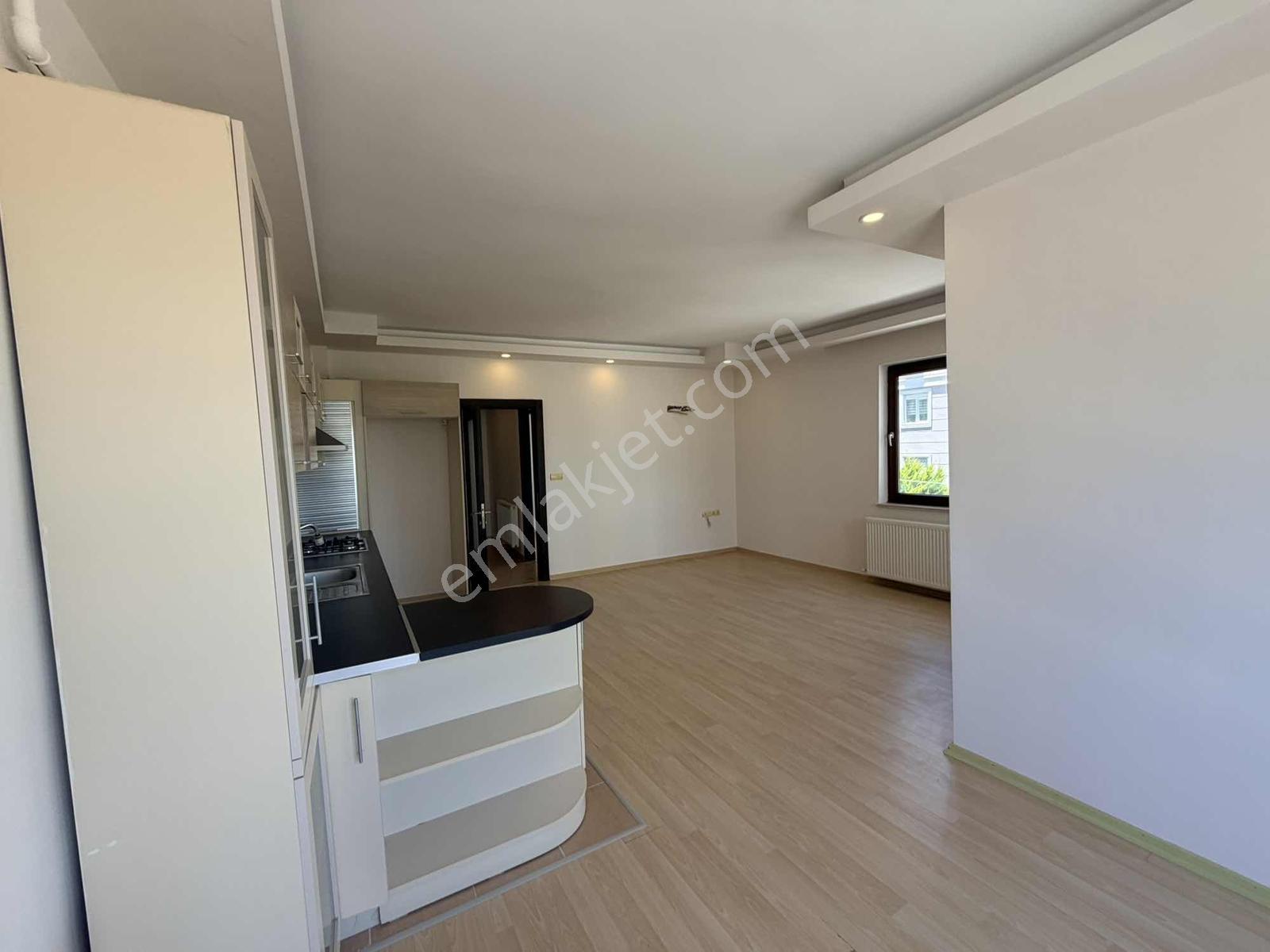 Hurmada Ara Kat Doğalgazlı 2+1 Önü Açık Kiralık - Görsel 14