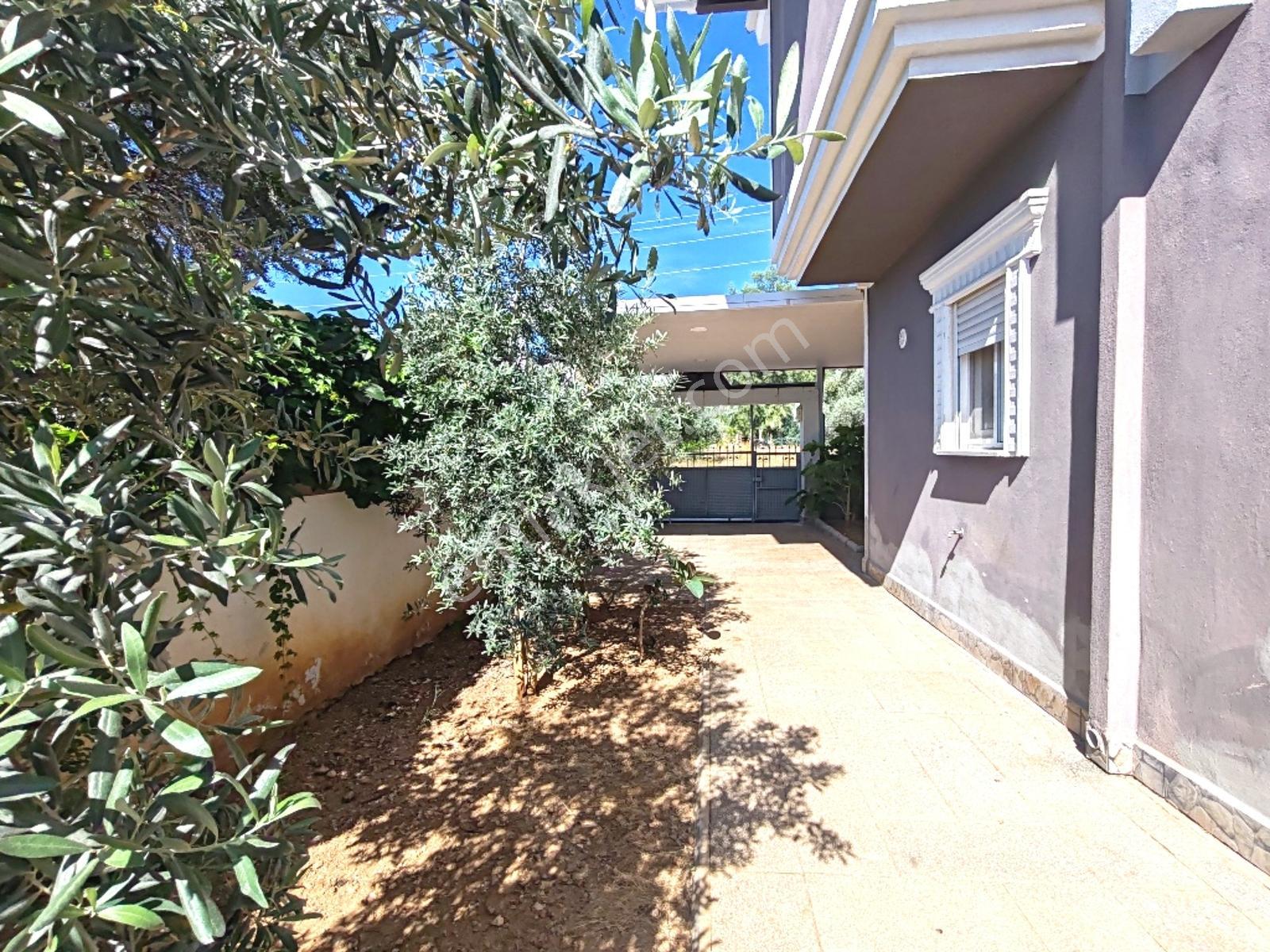 Didim Akbükte Kirelık Lüks Villa - Görsel 24