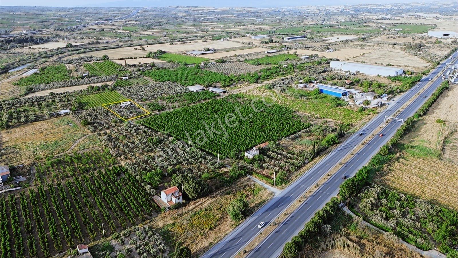 Erz'den Kemalpaşa İzmir Ankara Çevre Yoluna Yakın 1685 M2 Bahçe - Görsel 5