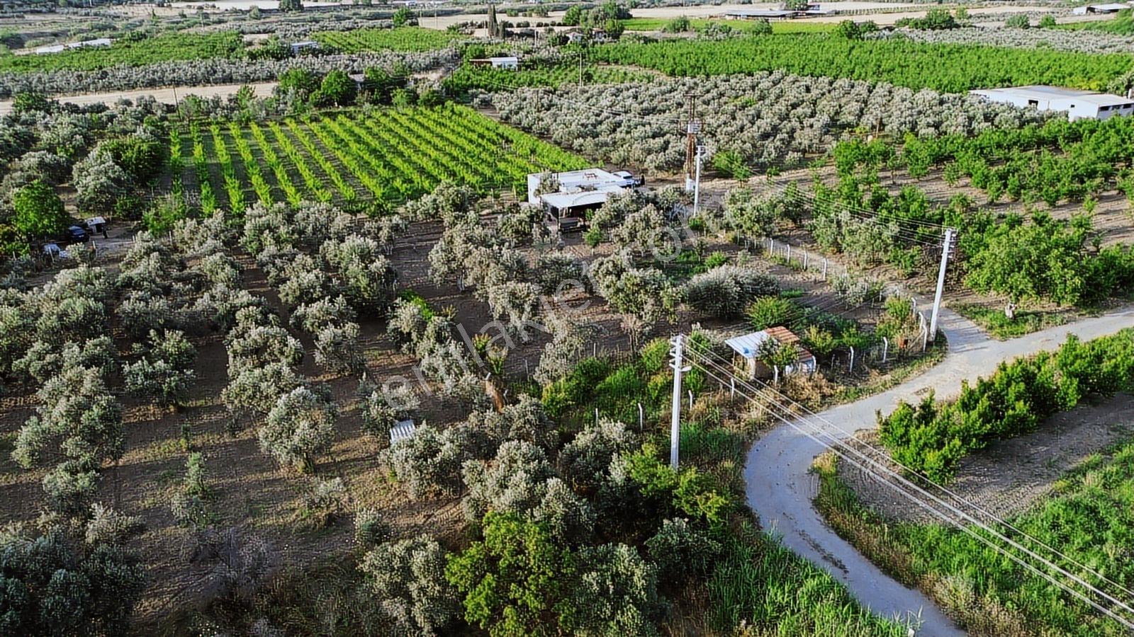 Erz'den Kemalpaşa İzmir Ankara Çevre Yoluna Yakın 1685 M2 Bahçe - Görsel 30