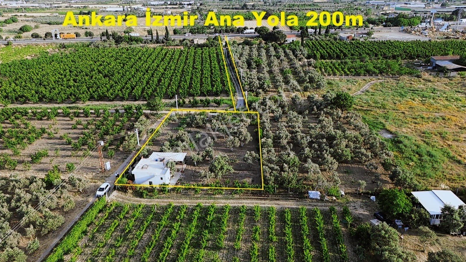 Erz'den Kemalpaşa İzmir Ankara Çevre Yoluna Yakın 1685 M2 Bahçe - Görsel 18