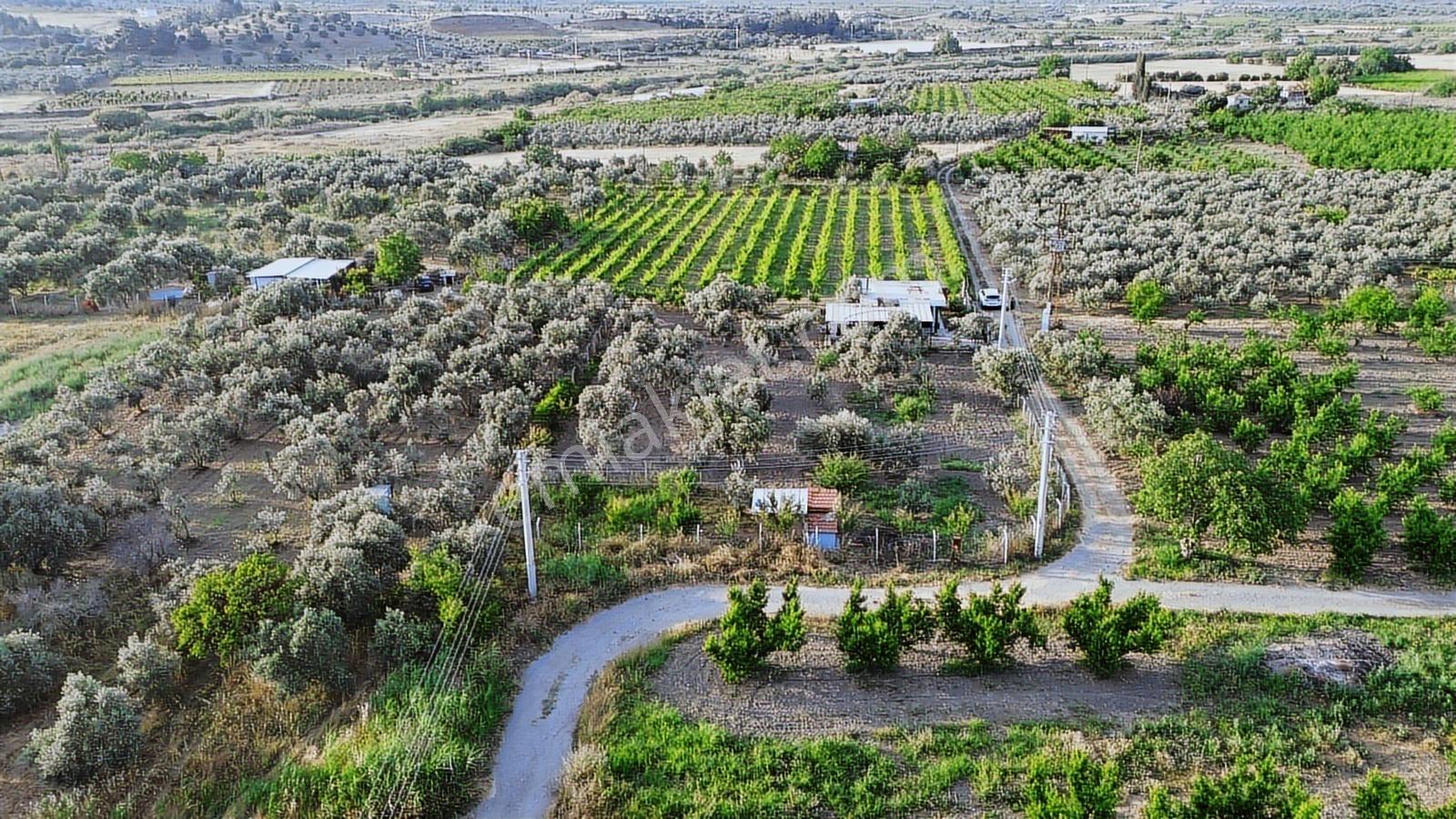 Erz'den Kemalpaşa İzmir Ankara Çevre Yoluna Yakın 1685 M2 Bahçe - Görsel 9