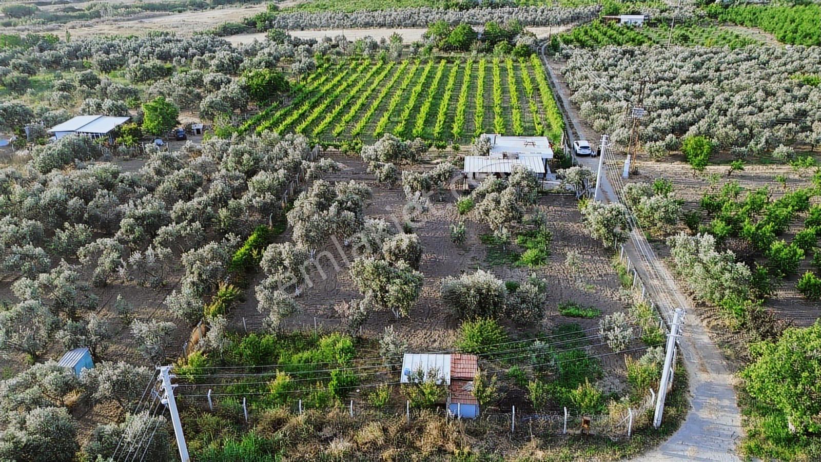 Erz'den Kemalpaşa İzmir Ankara Çevre Yoluna Yakın 1685 M2 Bahçe - Görsel 10
