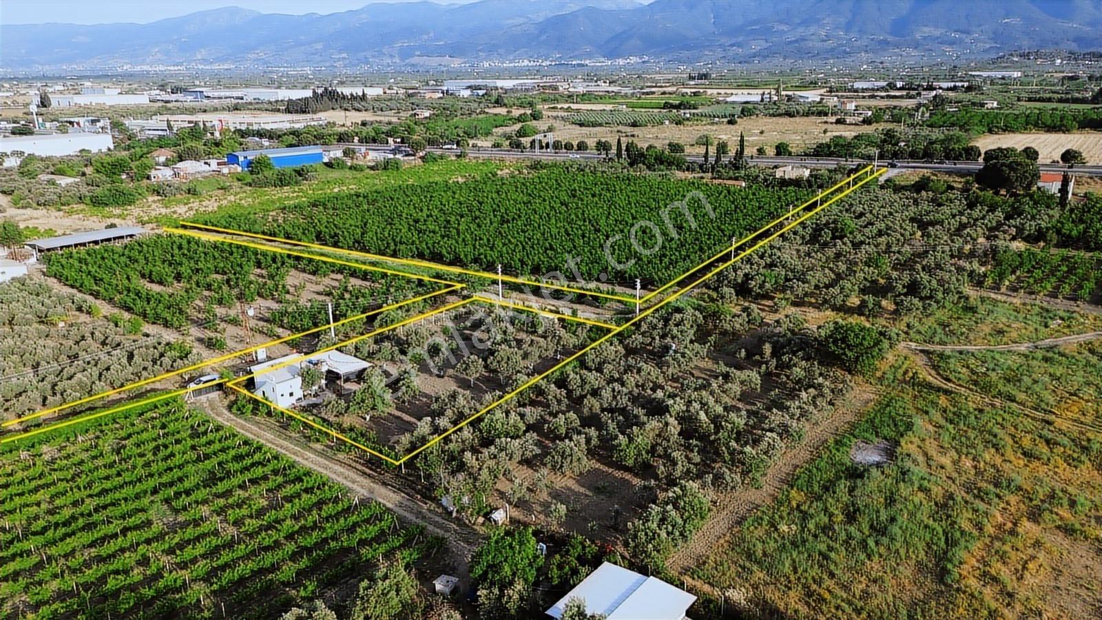 Erz'den Kemalpaşa İzmir Ankara Çevre Yoluna Yakın 1685 M2 Bahçe - Görsel 17