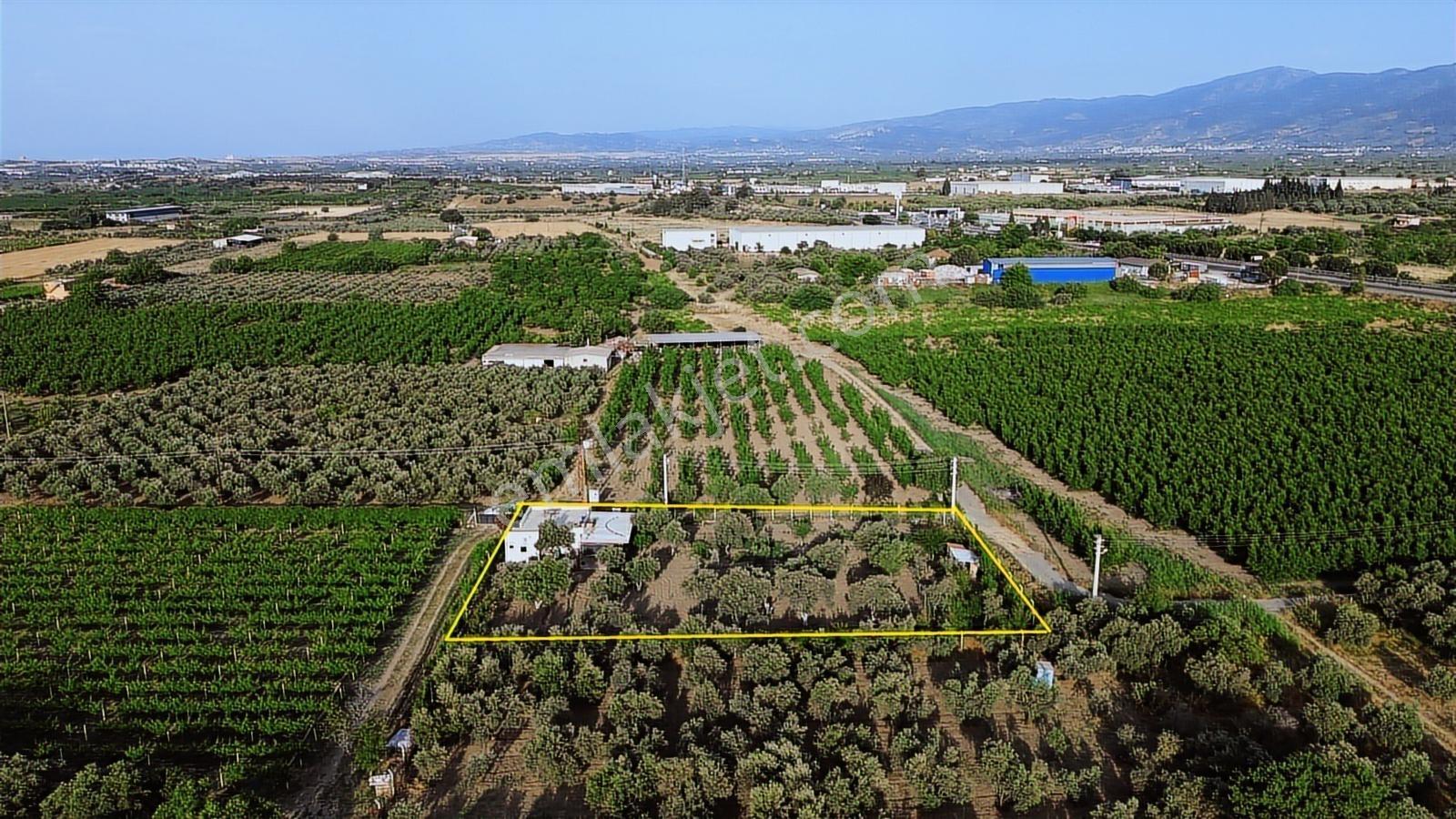 Erz'den Kemalpaşa İzmir Ankara Çevre Yoluna Yakın 1685 M2 Bahçe - Görsel 27