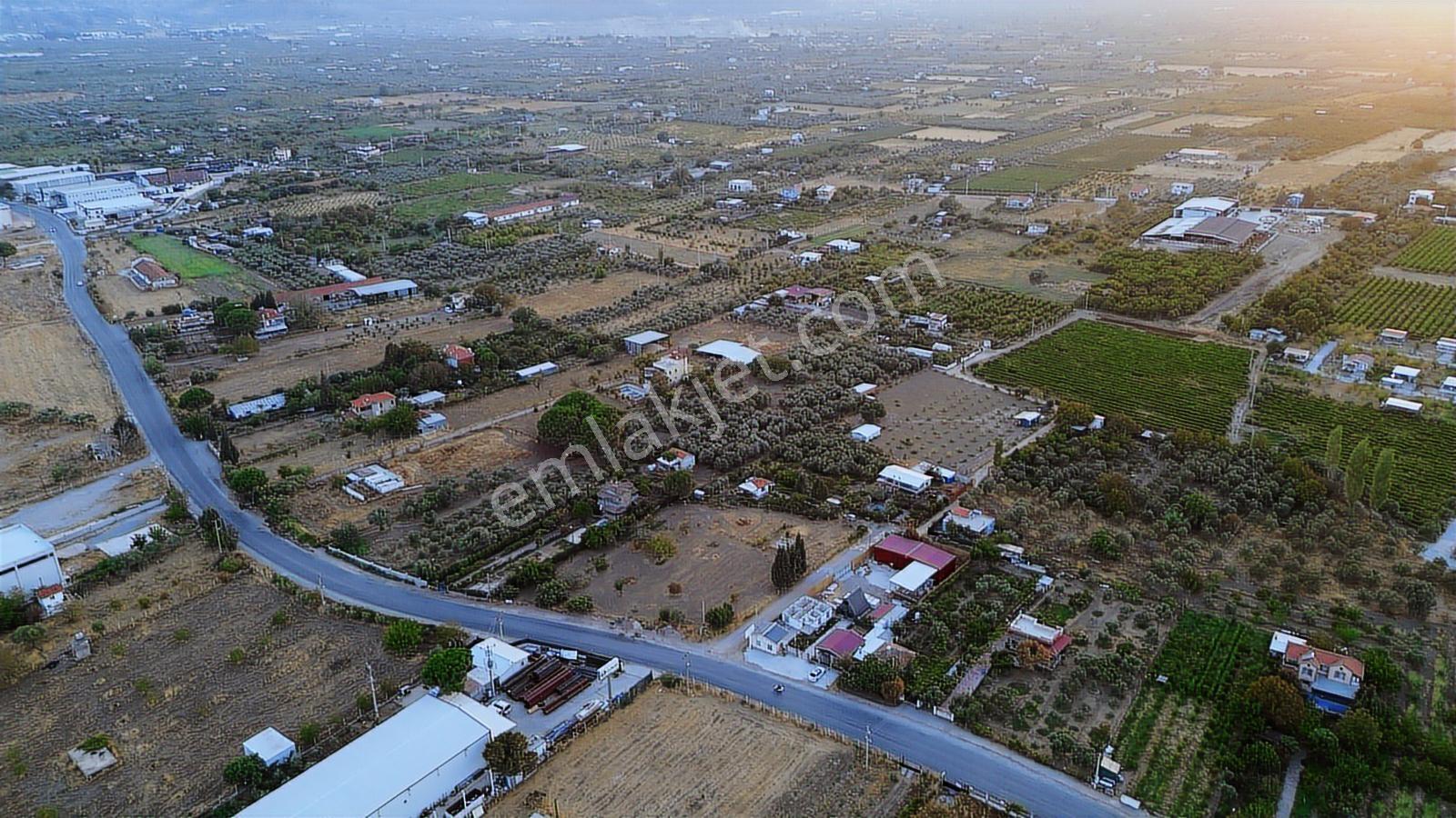 Erz'den Kemalpaşa Armutlu Sanayi Yakın Satılık Besi Çiftliği - Görsel 23