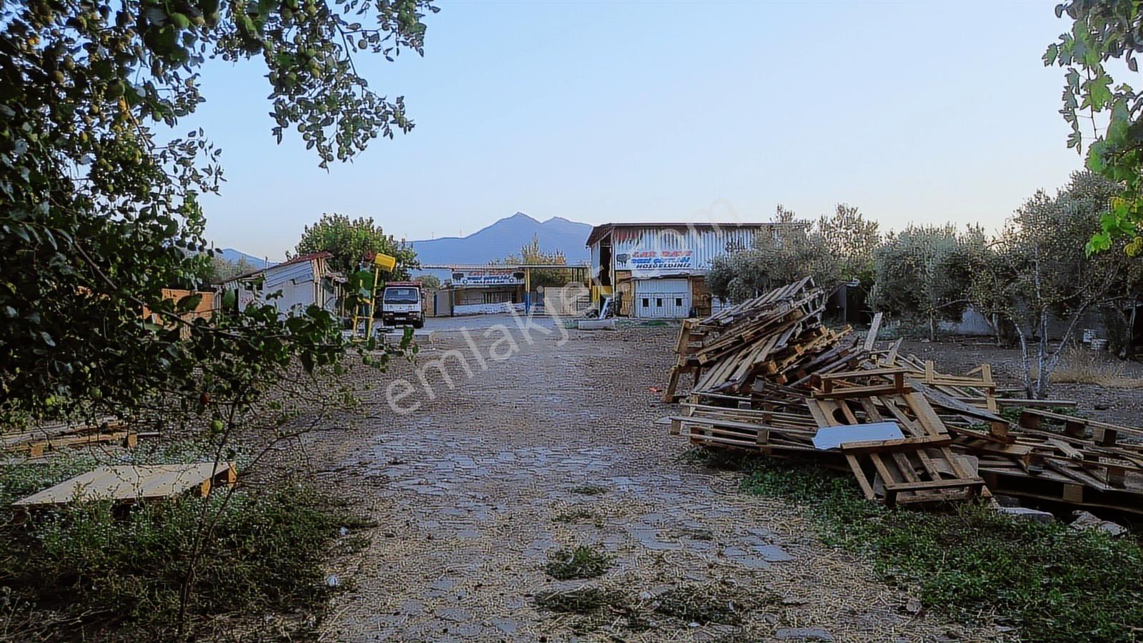 Erz'den Kemalpaşa Armutlu Sanayi Yakın Satılık Besi Çiftliği - Görsel 20