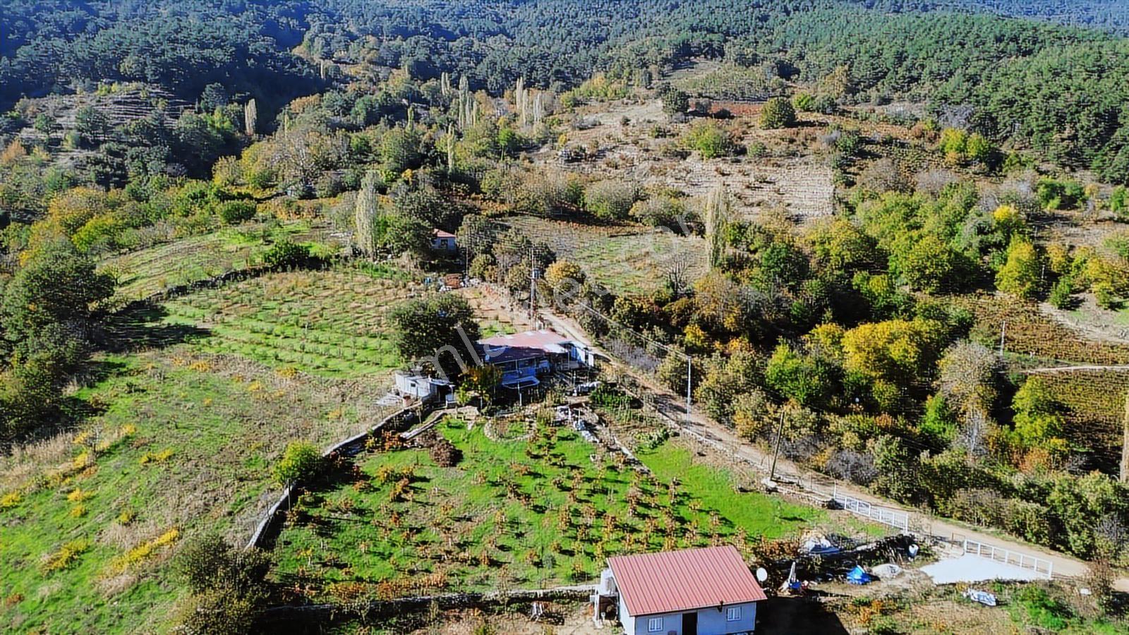 Erzden Bayındır Hisarlıkta 1635 M² Tek Tapu+yapı Kayıt Bahçe - Görsel 3