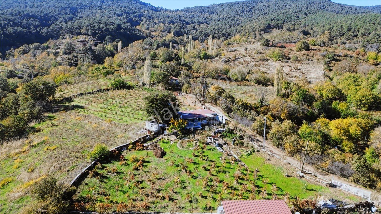 Erzden Bayındır Hisarlıkta 1635 M² Tek Tapu+yapı Kayıt Bahçe - Görsel 32