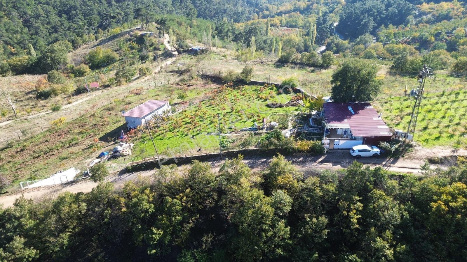 Erzden Bayındır Hisarlıkta 1635 M² Tek Tapu+yapı Kayıt Bahçe - Görsel 16