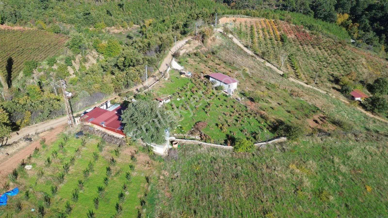 Erzden Bayındır Hisarlıkta 1635 M² Tek Tapu+yapı Kayıt Bahçe - Görsel 2