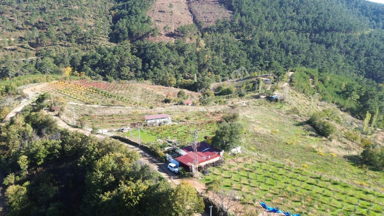 Erzden Bayındır Hisarlıkta 1635 M² Tek Tapu+yapı Kayıt Bahçe - Görsel 17