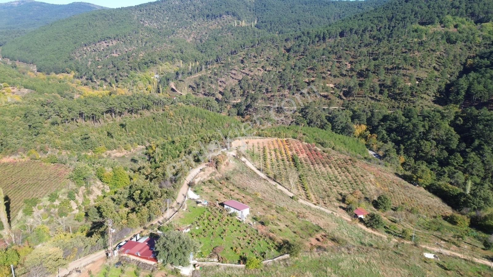 Erzden Bayındır Hisarlıkta 1635 M² Tek Tapu+yapı Kayıt Bahçe - Görsel 19