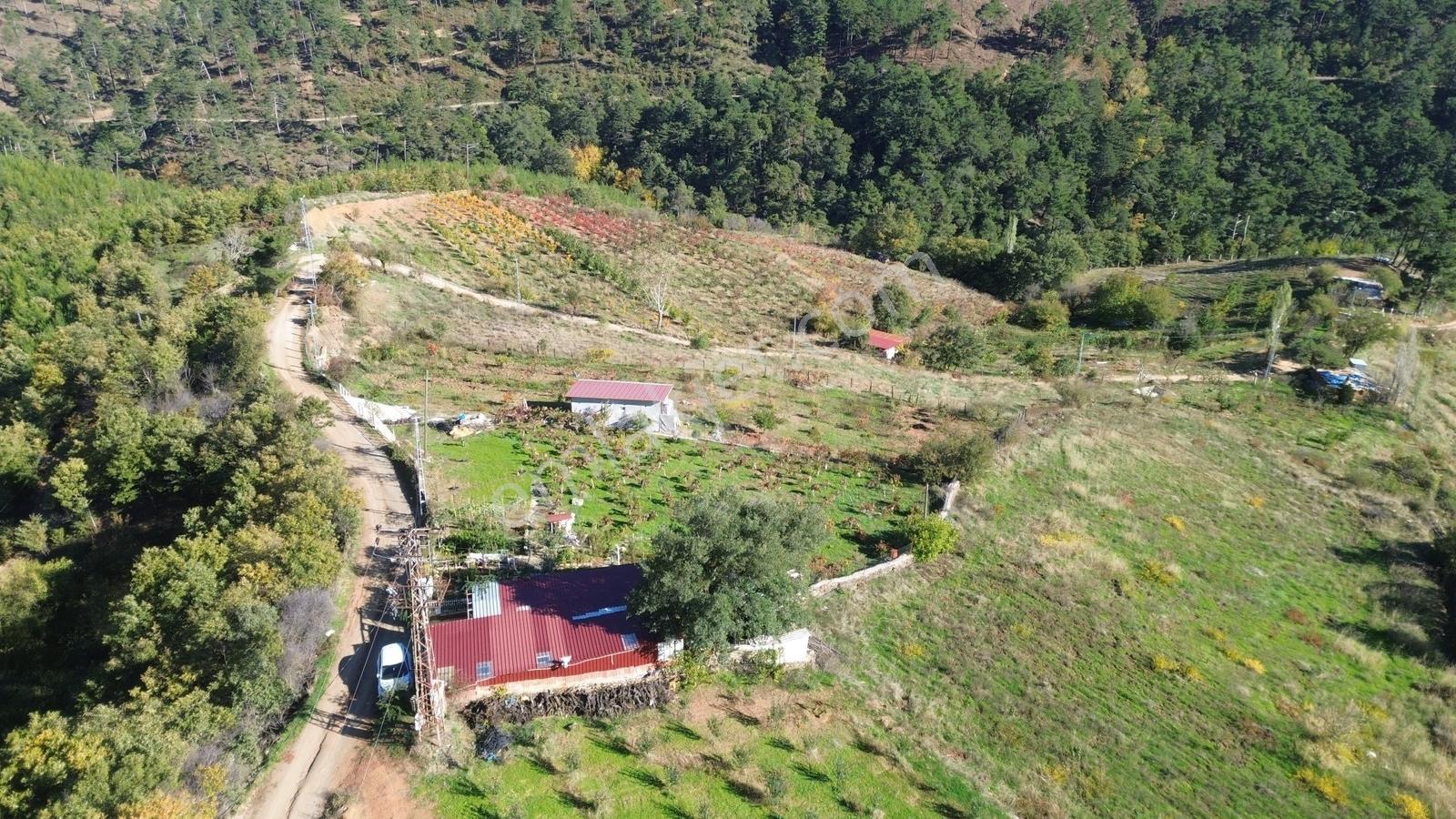Erzden Bayındır Hisarlıkta 1635 M² Tek Tapu+yapı Kayıt Bahçe - Görsel 10