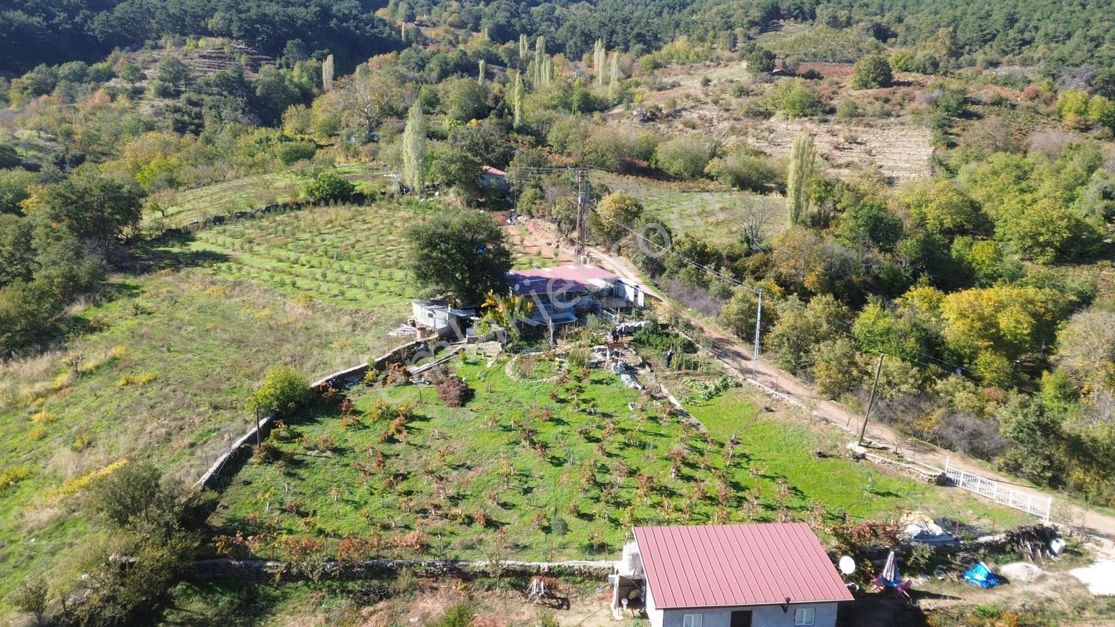 Erzden Bayındır Hisarlıkta 1635 M² Tek Tapu+yapı Kayıt Bahçe - Görsel 31