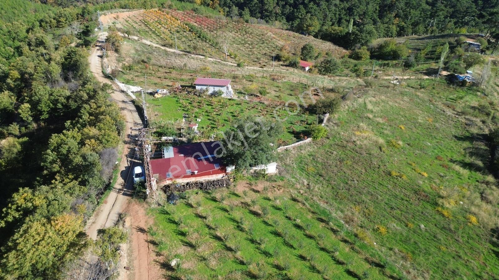 Erzden Bayındır Hisarlıkta 1635 M² Tek Tapu+yapı Kayıt Bahçe - Görsel 18