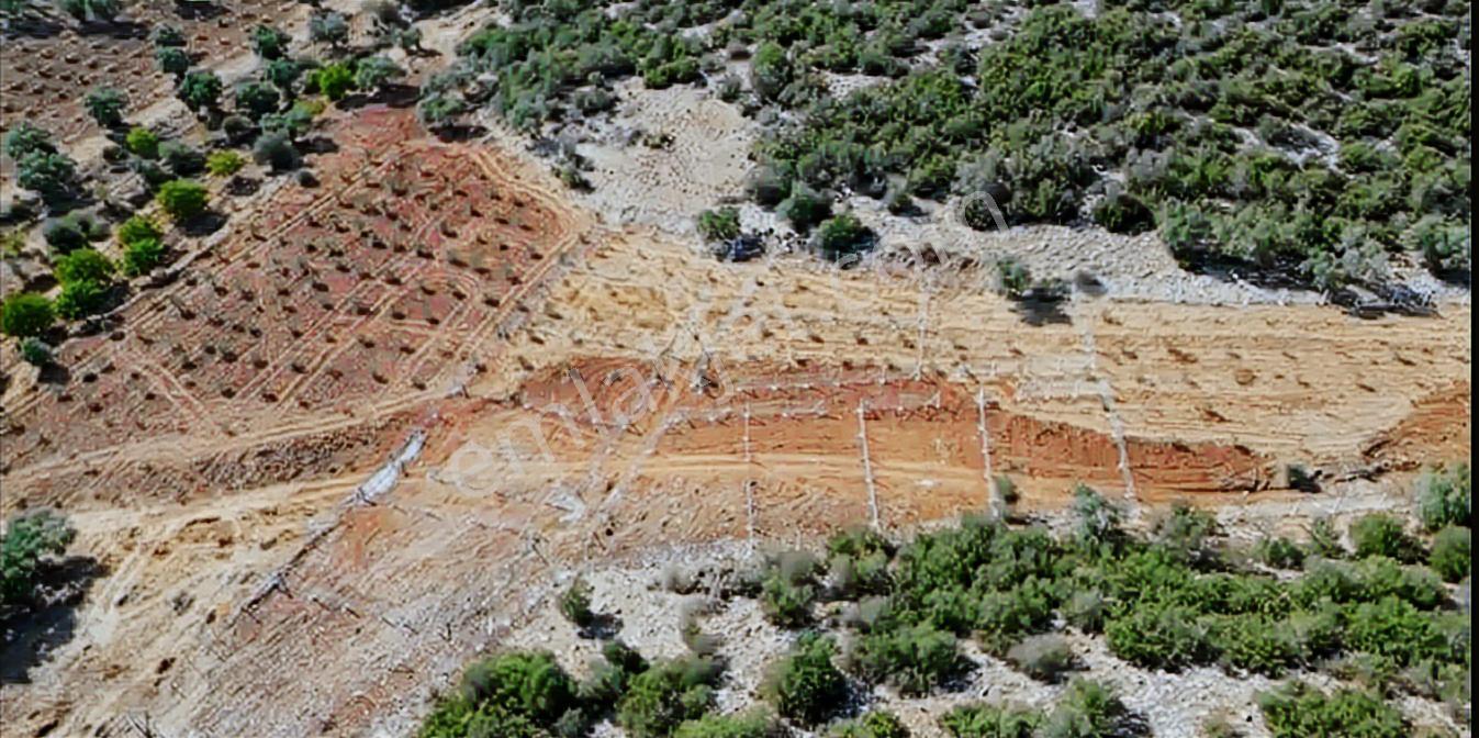 Erz'den Acil Satılık 3.687 M² Hisseli Yatırımlık Tarla Fırsatı - Görsel 12