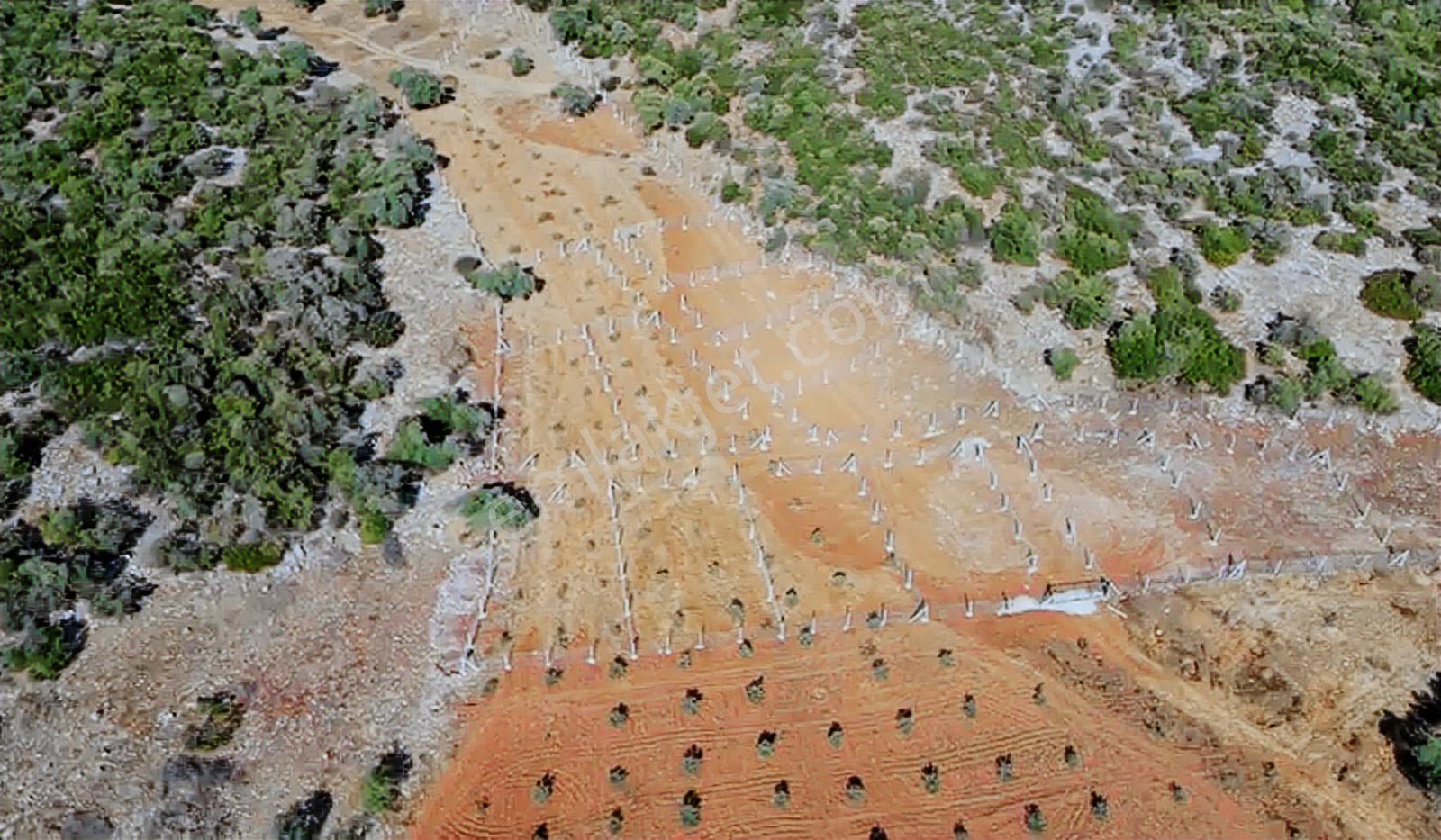 Erz'den Acil Satılık 3.687 M² Hisseli Yatırımlık Tarla Fırsatı - Görsel 10