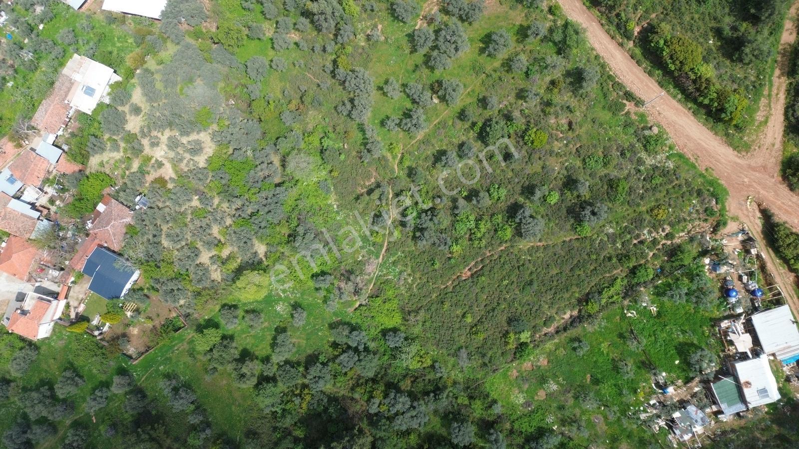 Erzden Kemalpaşa Bağyurdu Kasımpaşa Mah.3 Kat İmarlı 500m2 Arsa - Görsel 9