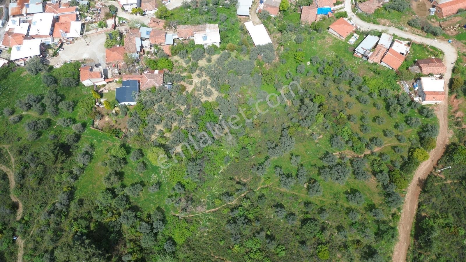 Erzden Kemalpaşa Bağyurdu Kasımpaşa Mah.3 Kat İmarlı 500m2 Arsa - Görsel 19