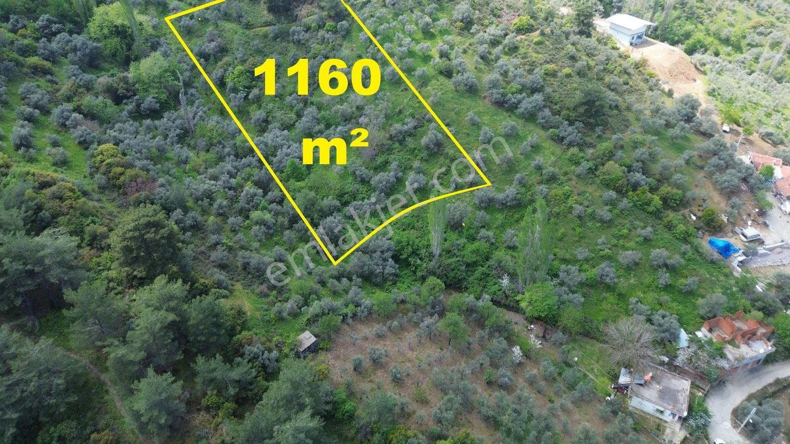 Erzden Kemalpaşa Bağyurdu Kasımpaşa Mah.3 Kat İmarlı 300m2 Arsa - Görsel 22