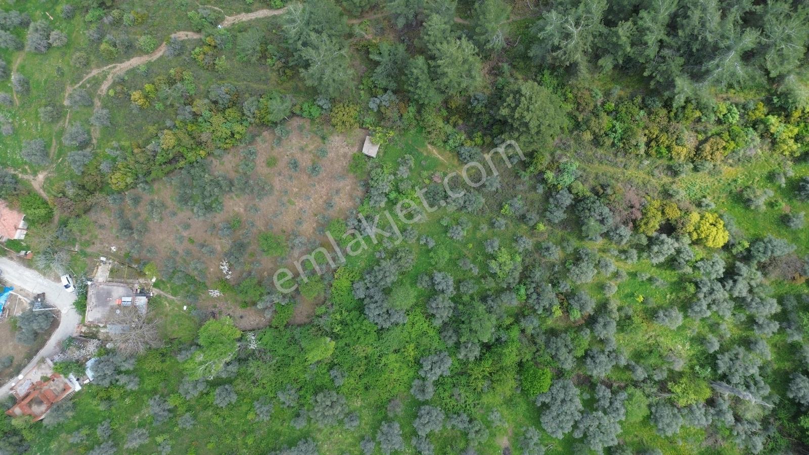 Erzden Kemalpaşa Bağyurdu Kasımpaşa Mah.3 Kat İmarlı 300m2 Arsa - Görsel 26