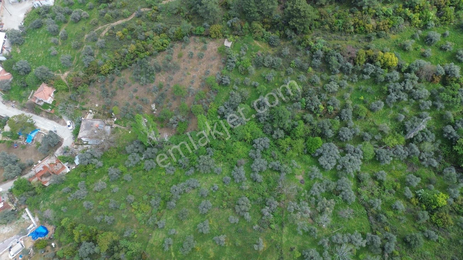 Erzden Kemalpaşa Bağyurdu Kasımpaşa Mah.3 Kat İmarlı 300m2 Arsa - Görsel 17