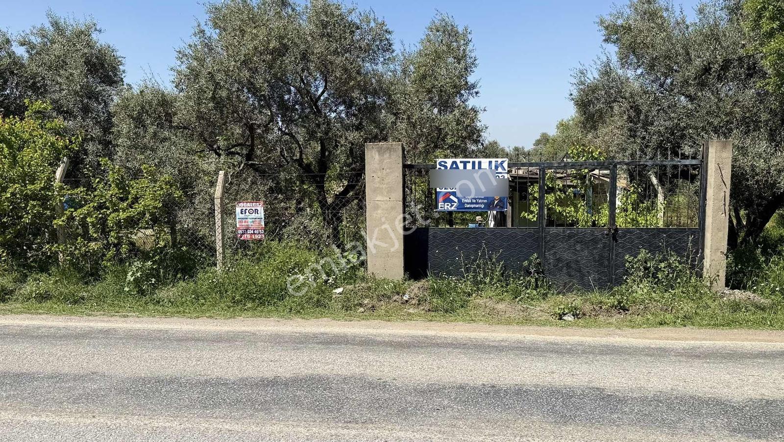 Erzden Kemalpaşa Örende Ana Yola Cepheli Satılık Bahçe Tek Tapu - Görsel 9