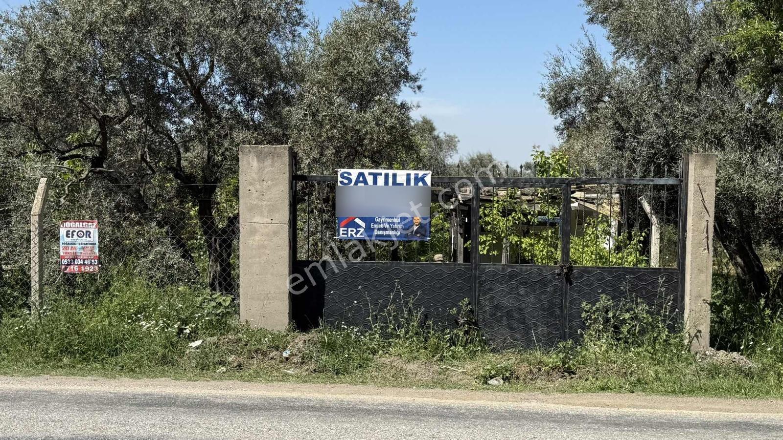 Erzden Kemalpaşa Örende Ana Yola Cepheli Satılık Bahçe Tek Tapu - Görsel 16