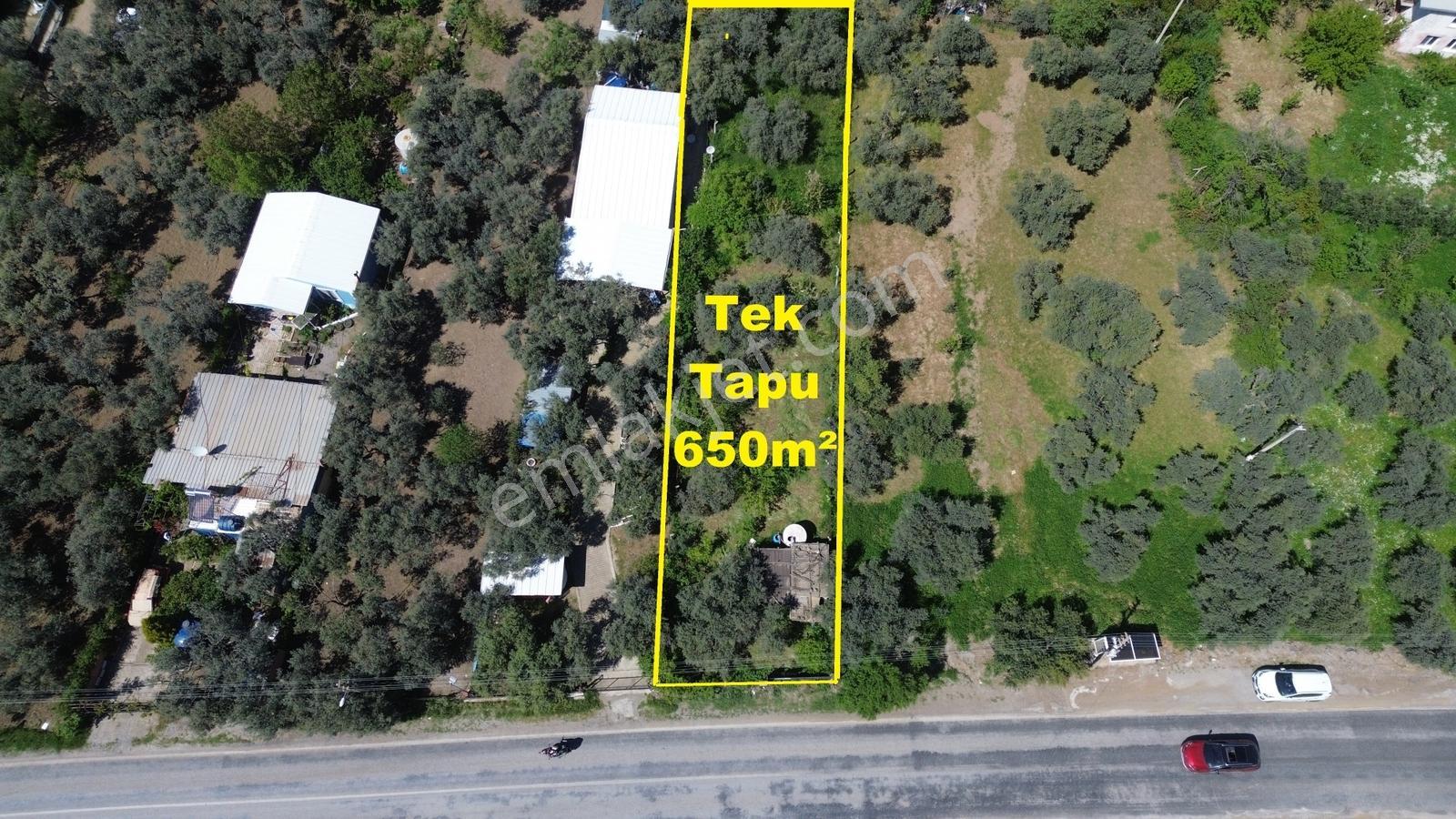 Erzden Kemalpaşa Örende Ana Yola Cepheli Satılık Bahçe Tek Tapu - Görsel 12