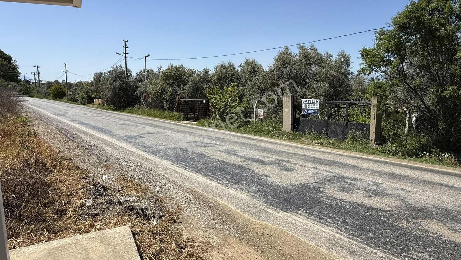 Erzden Kemalpaşa Örende Ana Yola Cepheli Satılık Bahçe Tek Tapu - Görsel 18