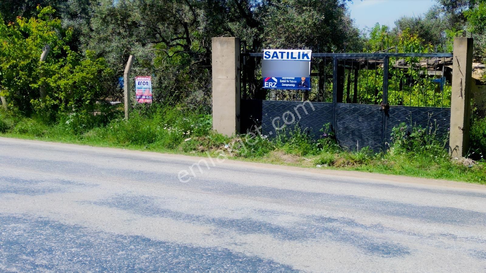 Erzden Kemalpaşa Örende Ana Yola Cepheli Satılık Bahçe Tek Tapu - Görsel 17