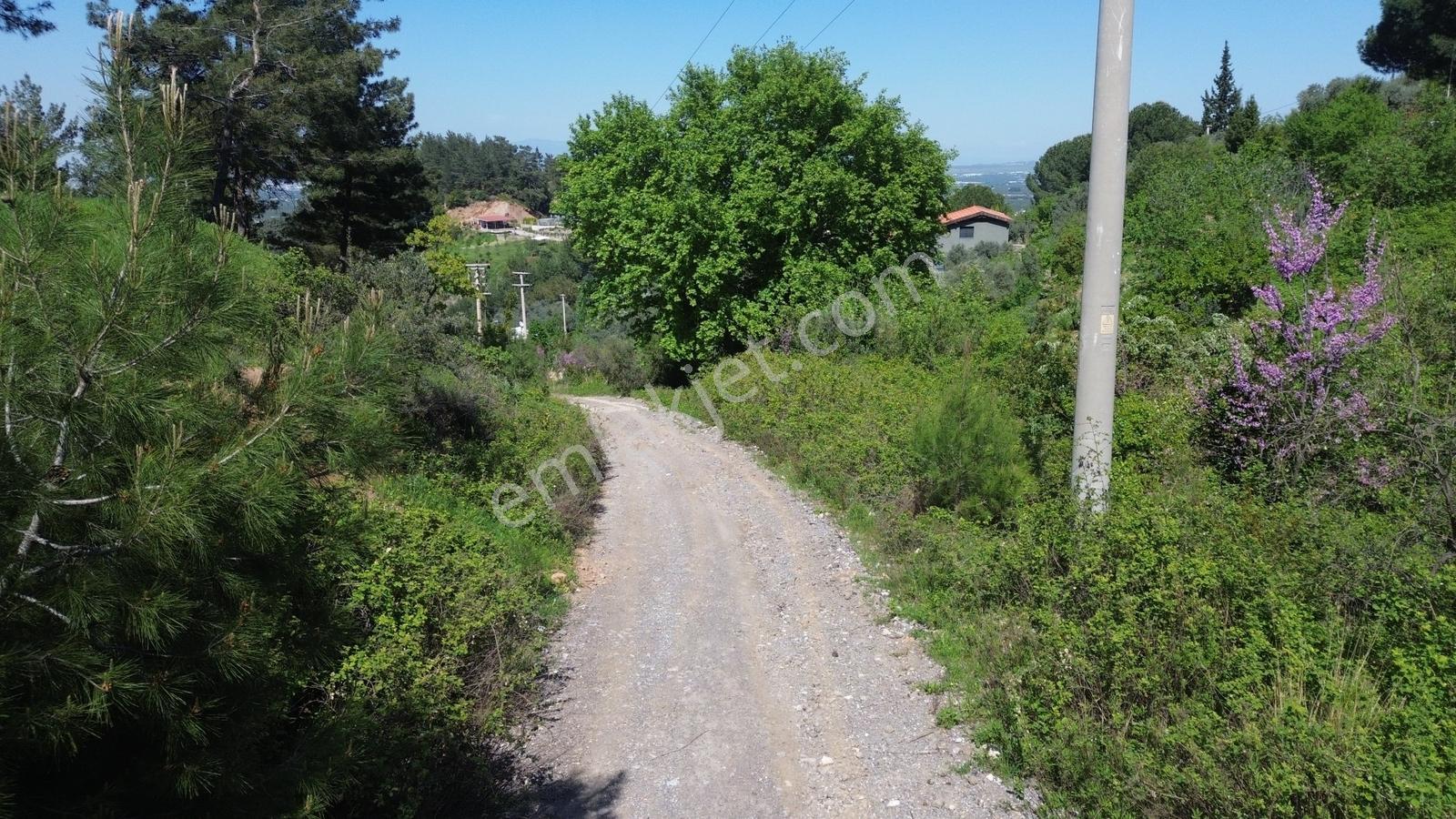 Erzden Örende Orman Manzaralı Villa İmarlı Arsa | Projesi Hazı - Görsel 12