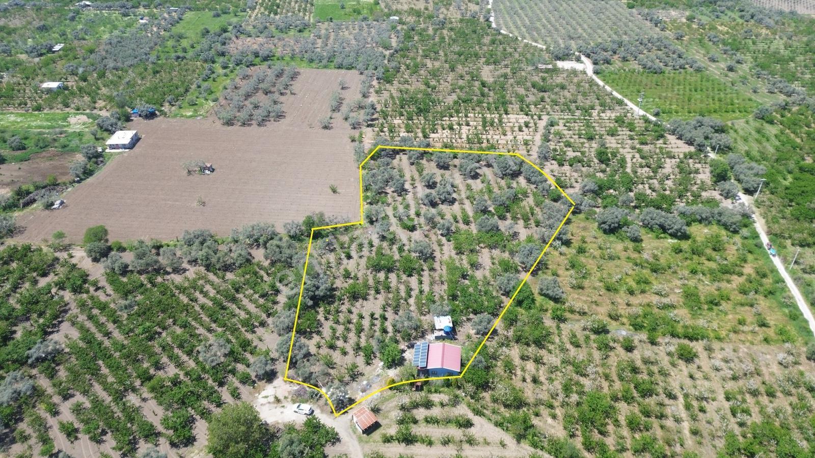 Erzden Sinancılarda Yakını Evli 8062 M² Kiraz Bahçesi Yatırımlık - Görsel 5