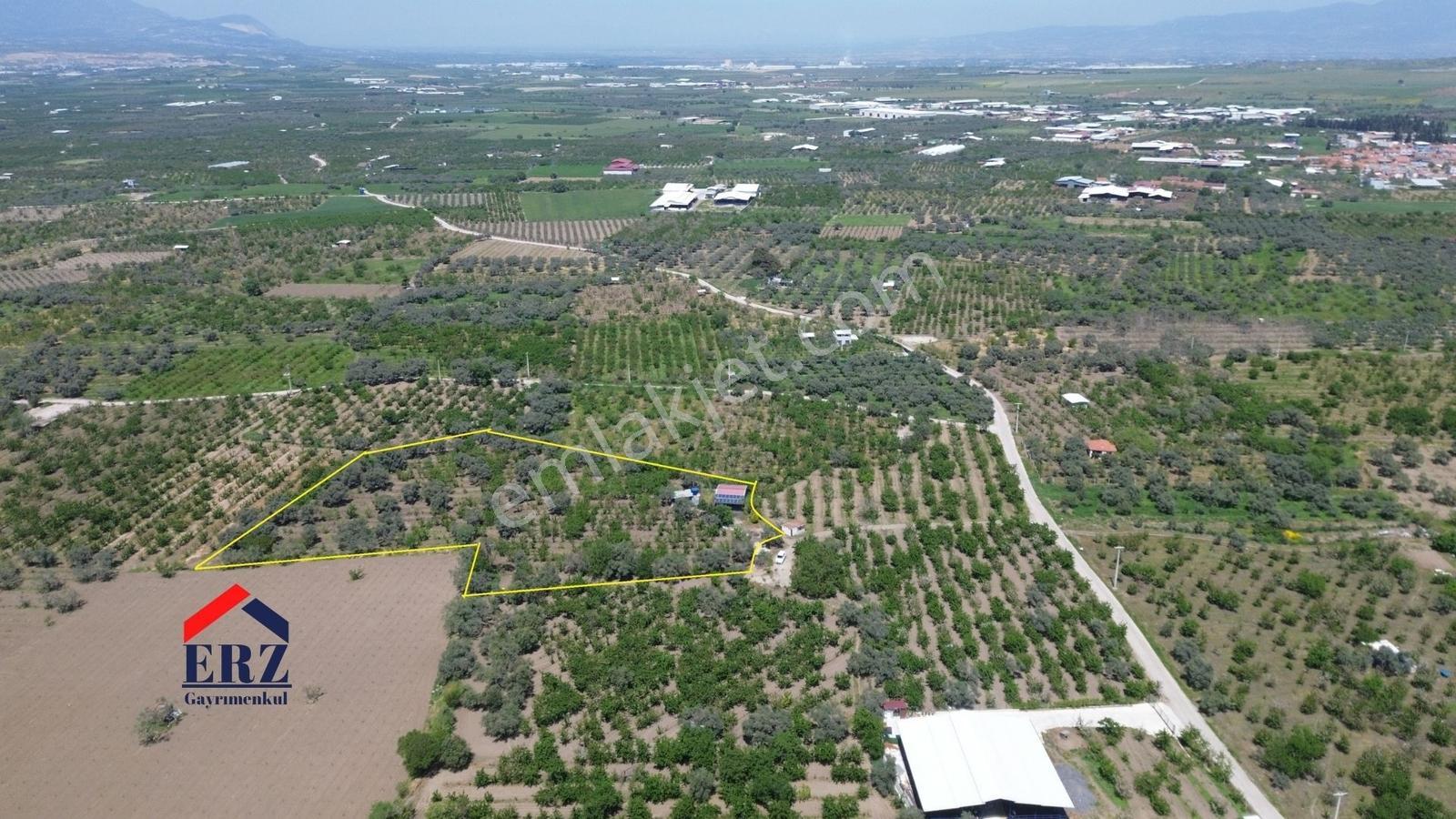 Erzden Sinancılarda Yakını Evli 8062 M² Kiraz Bahçesi Yatırımlık - Görsel 23