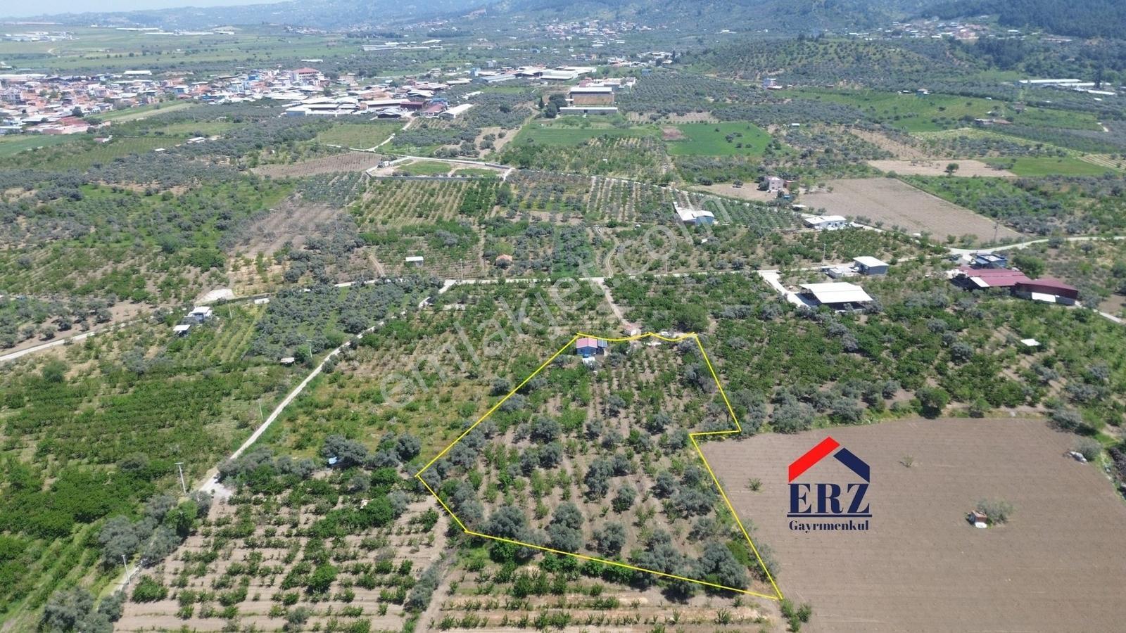 Erzden Sinancılarda Yakını Evli 8062 M² Kiraz Bahçesi Yatırımlık - Görsel 32