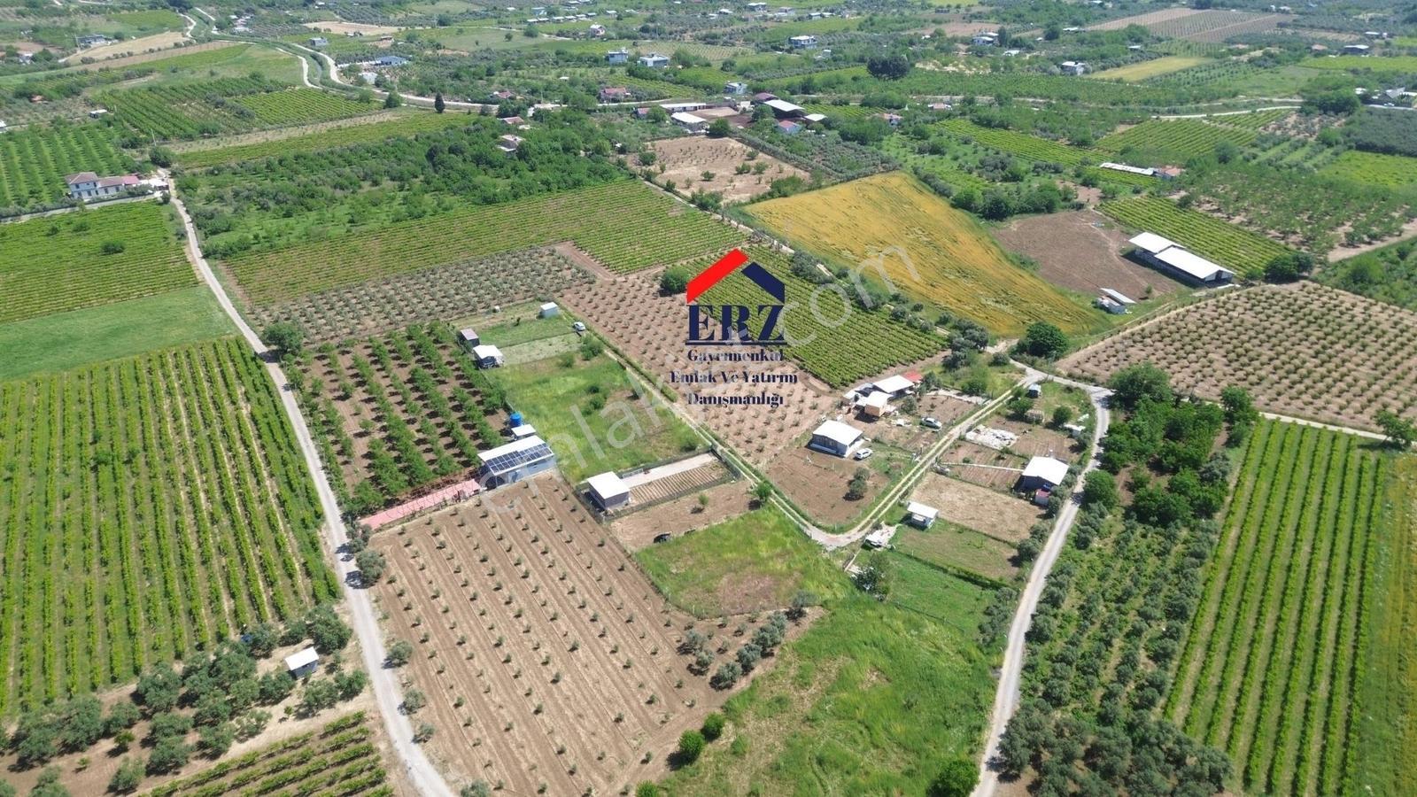 Erzden Kemalpaşa A.kızılca'da Elek+su Olan Muhteşem Hobi Bahçesi - Görsel 7