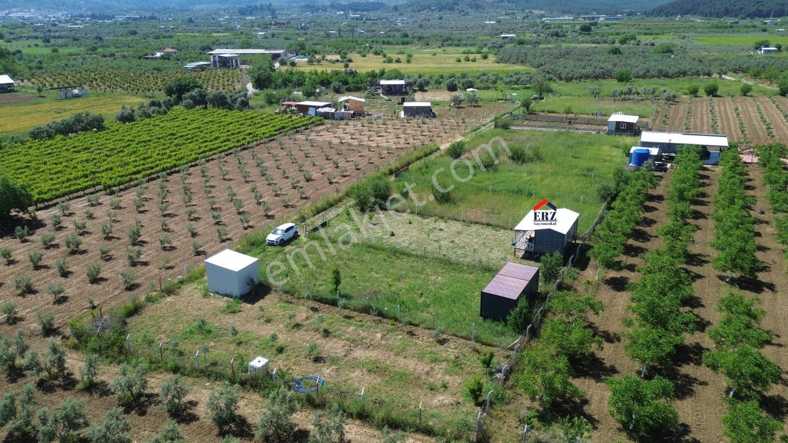 Erzden A.kızılca'da Numarataj+elektrik+su Olan Konteynerlı Arazi - Görsel 26