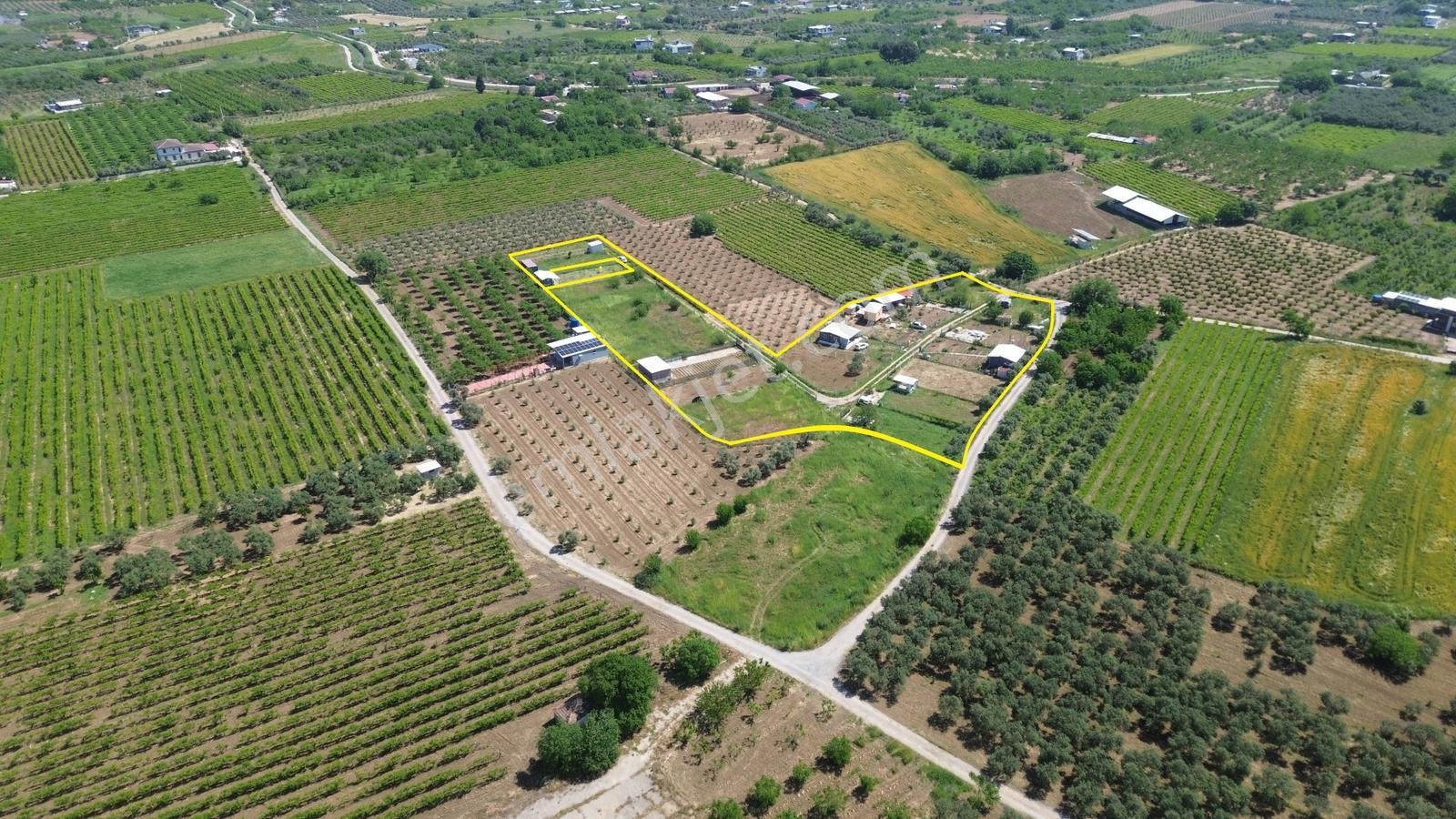Erzden A.kızılca'da Numarataj+elektrik+su Olan Konteynerlı Arazi - Görsel 7