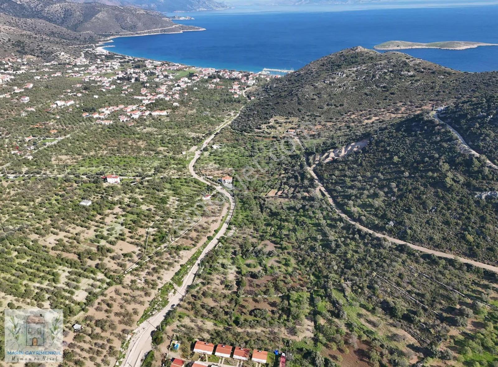 Palamutbükü'nde Uygun Fiyatlı Deniz Manzaralı Arsa - Görsel 6
