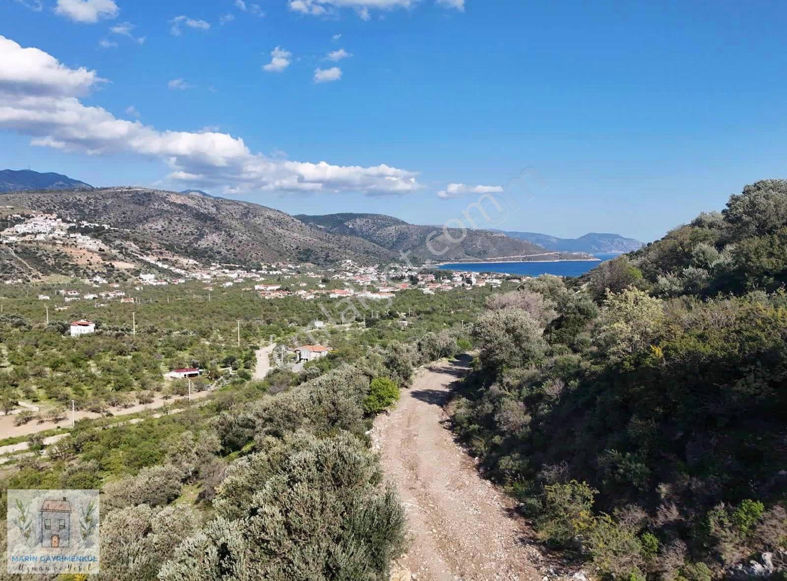 Palamutbükü'nde Uygun Fiyatlı Deniz Manzaralı Arsa - Görsel 4