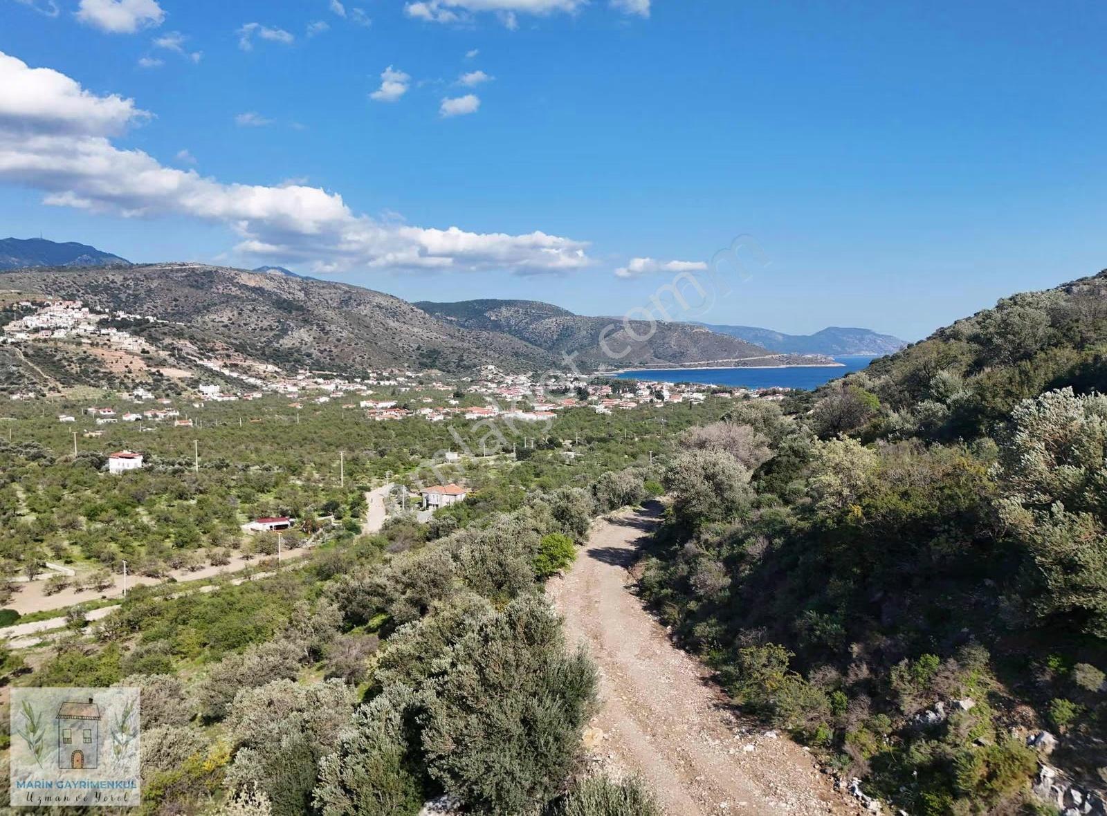 Palamutbükü'nde Uygun Fiyatlı Deniz Manzaralı Arsa - Görsel 7
