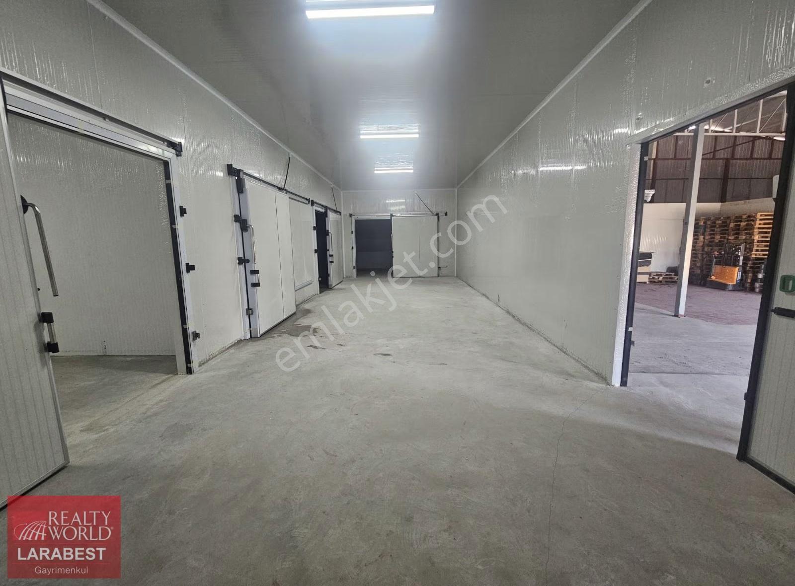 Aksu Çamköyde Kiralık Soğuk Hava Depoları - Görsel 3