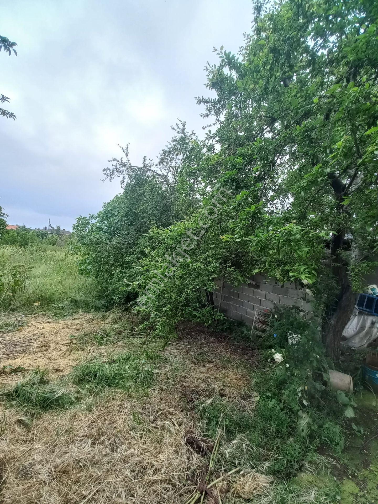 C.21loca'dan Susurluk Babaköyde Mükemmel Bahçeli Köy Evi - Görsel 28