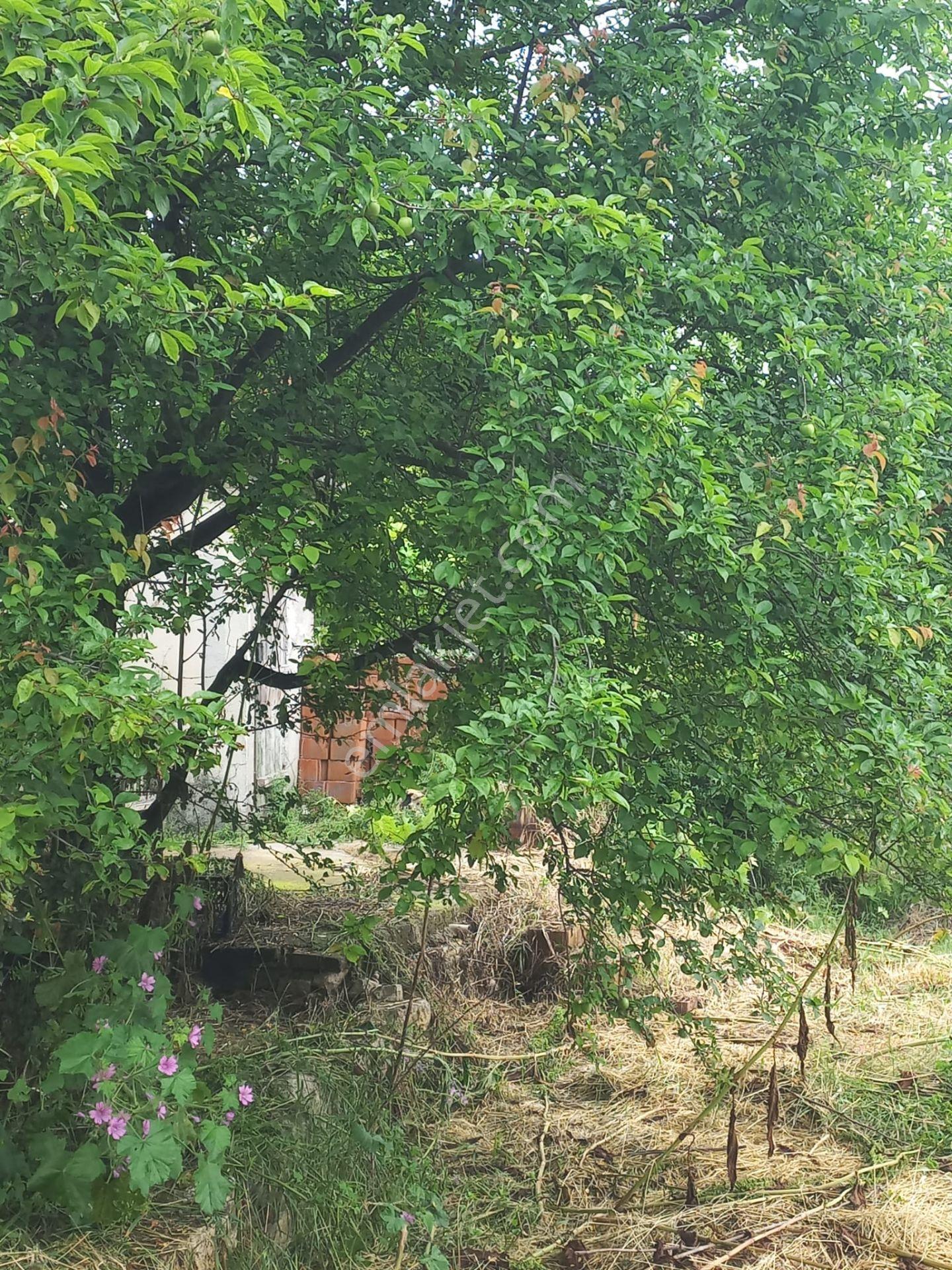 C.21loca'dan Susurluk Babaköyde Mükemmel Bahçeli Köy Evi - Görsel 30