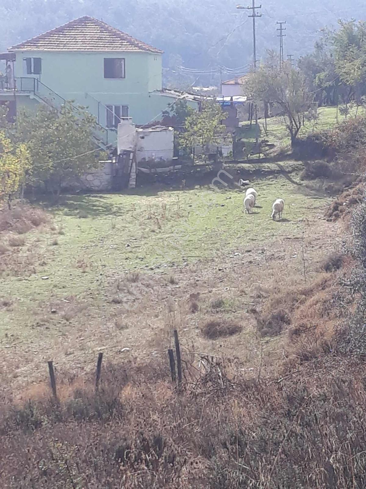 Yatağanında Satılık Tarla - Görsel 3