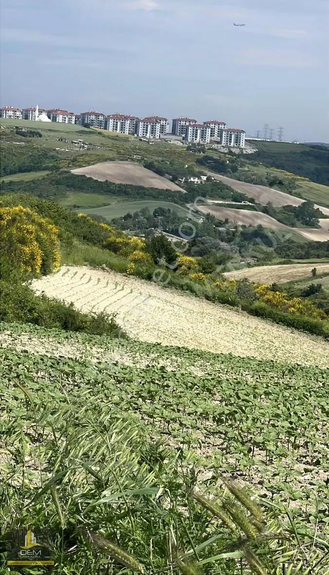 Arnavutköy Boyalık'ta Satılık Ticari+konut Tarla