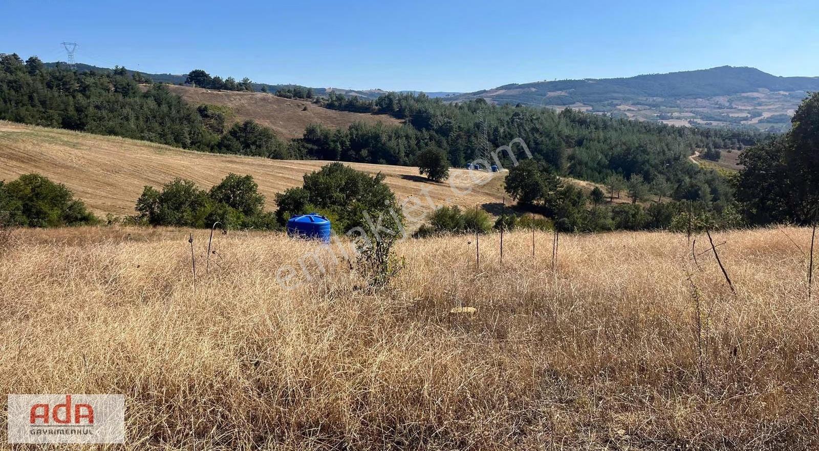 Sakarya Geyve Poydular Mahallesi'nde Satılık 2795 Arazi - Görsel 2