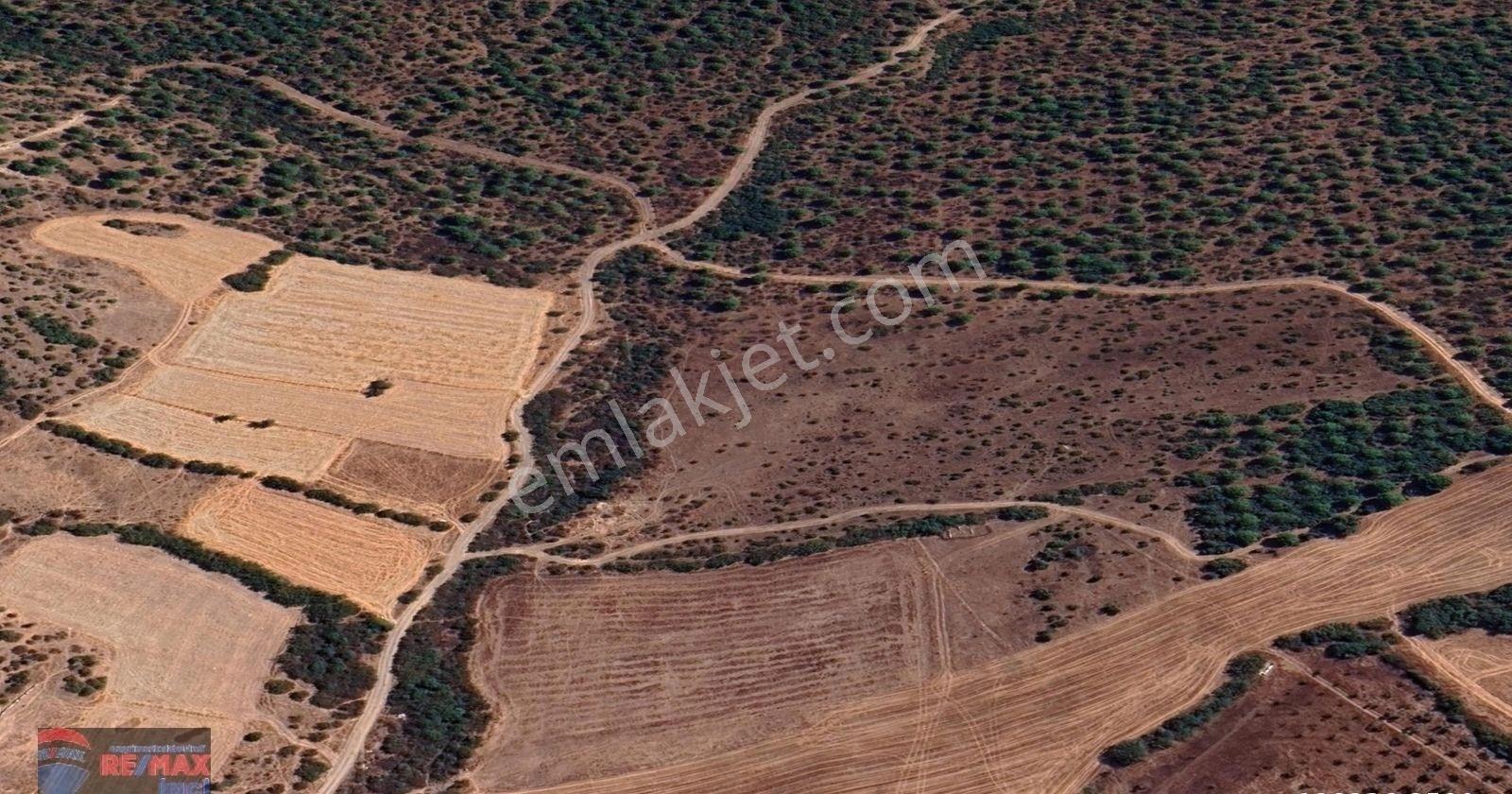 Re/max İnci'den Kepsut Nusret Mah 359 M2 Satılık Arsa - Görsel 14