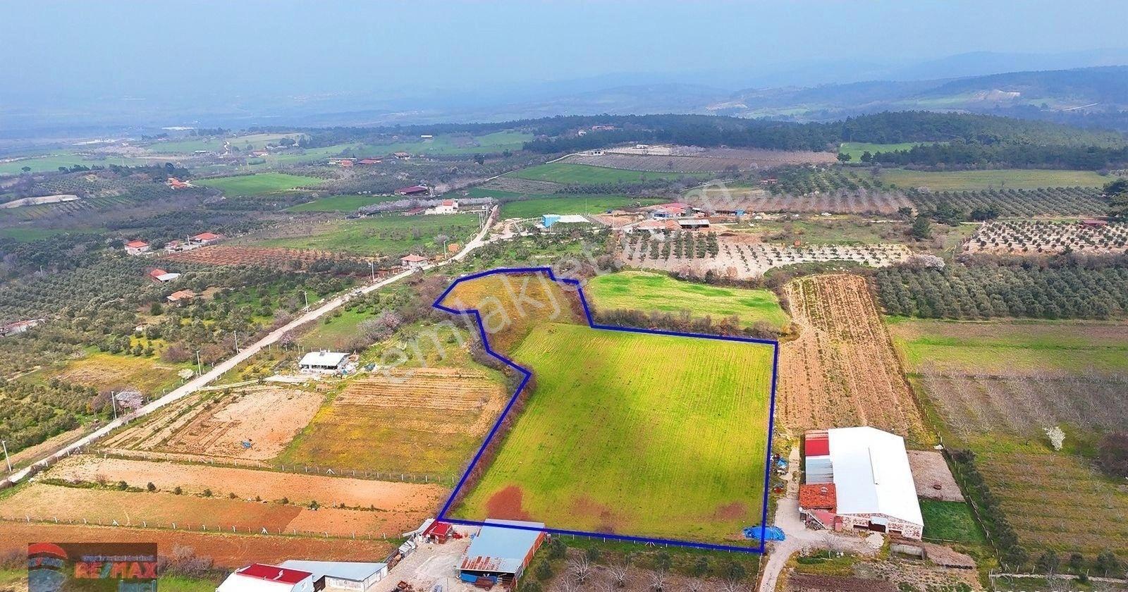 Re/max İnci 'den Savaştepe İstiklal Mah. Su Deposu Yakını Satılık 13.252 M² Tarla - Görsel 28